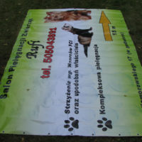 reklama salonu pielęgnacji zwierząt